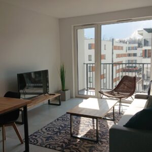 Mieszkanie Bytkowska salon